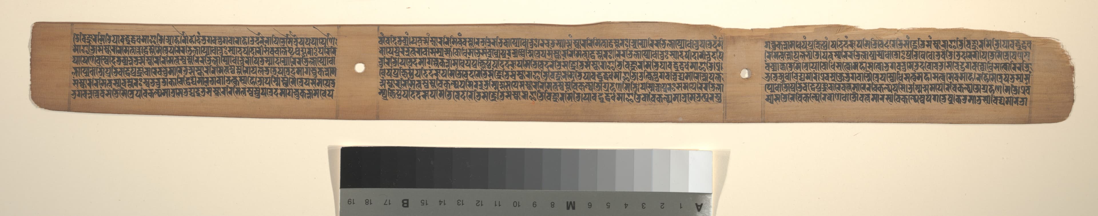 Folio from a Buddhist Manuscript of Pancavimsatisahasrika Prajnaparamita