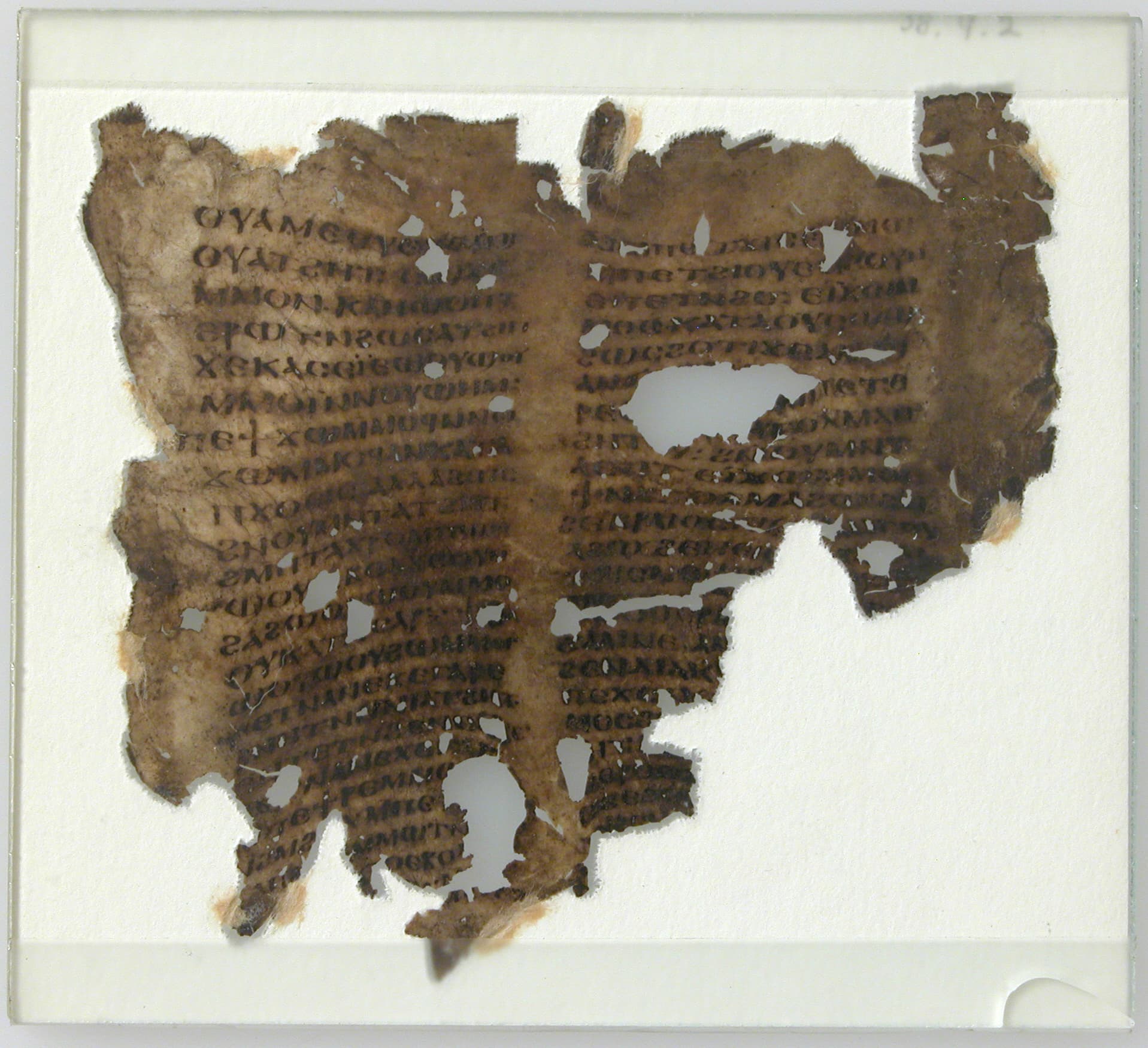 Manuscript Leaf Fragment