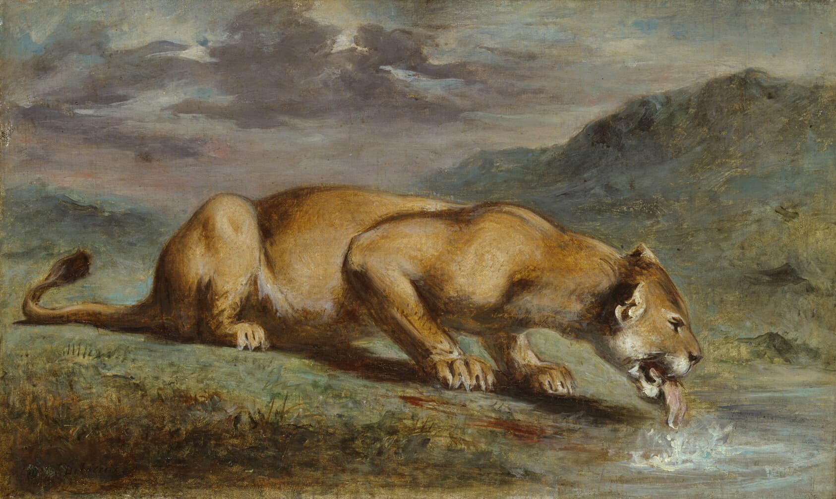 Wounded Lioness